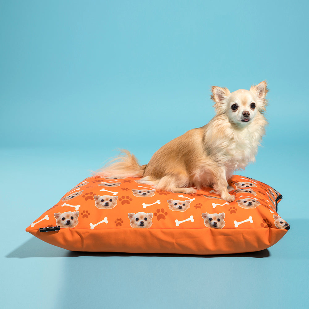 The Dogsy Pillow Bed