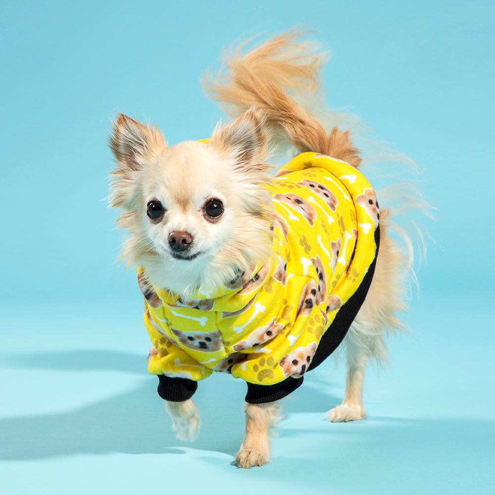 Dog Hoodie