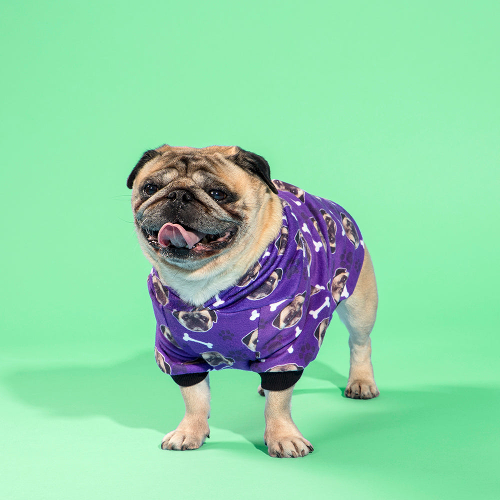 Personalised Hoodie For Dogs