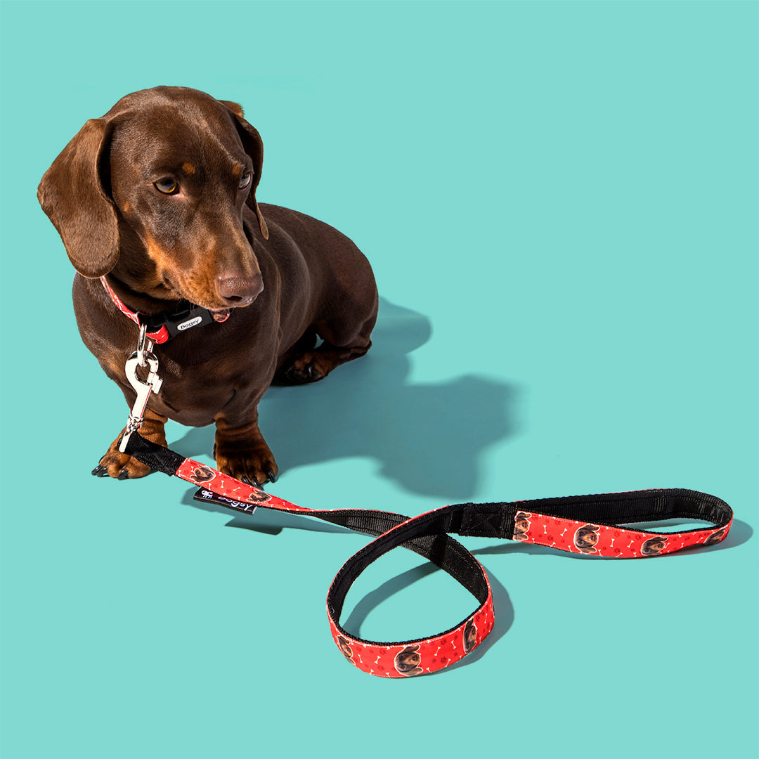 Personalised Dog Lead