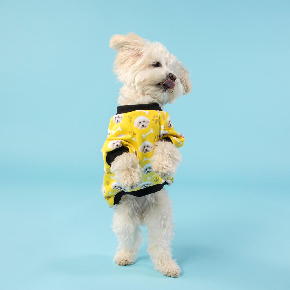 Personalised Dog Jumper