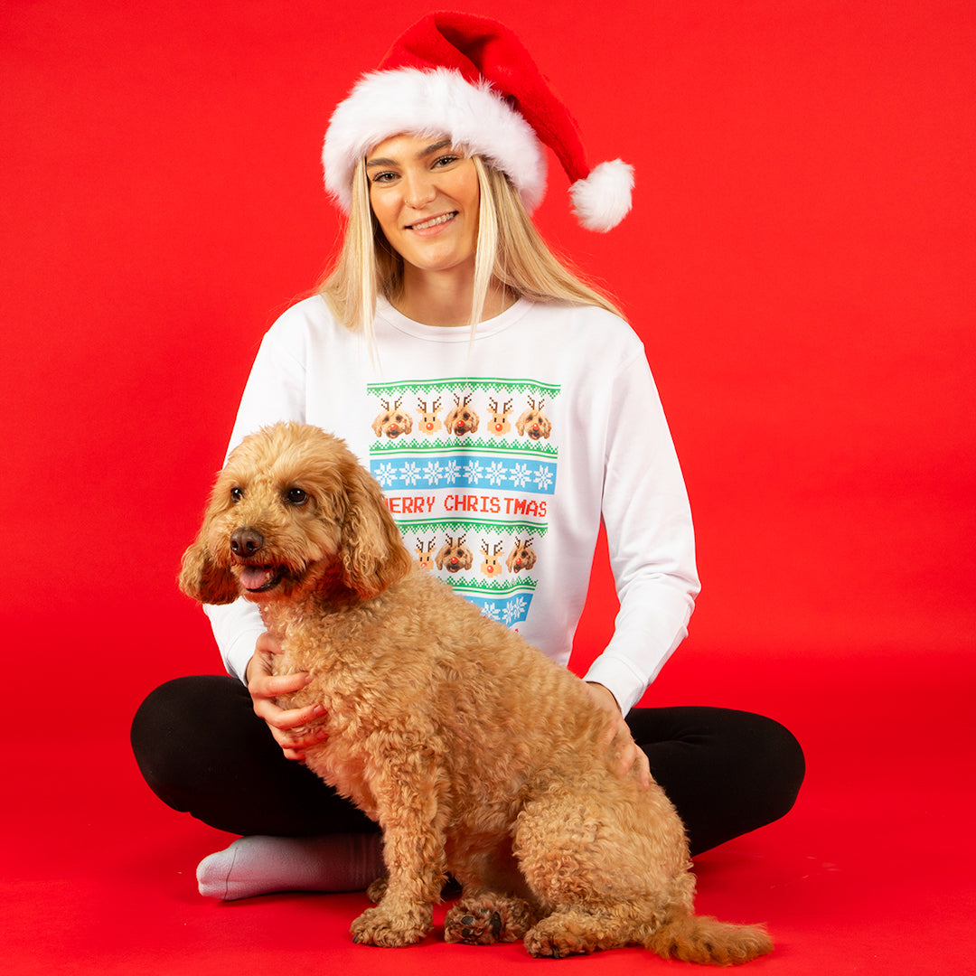 Dog On Christmas Jumper