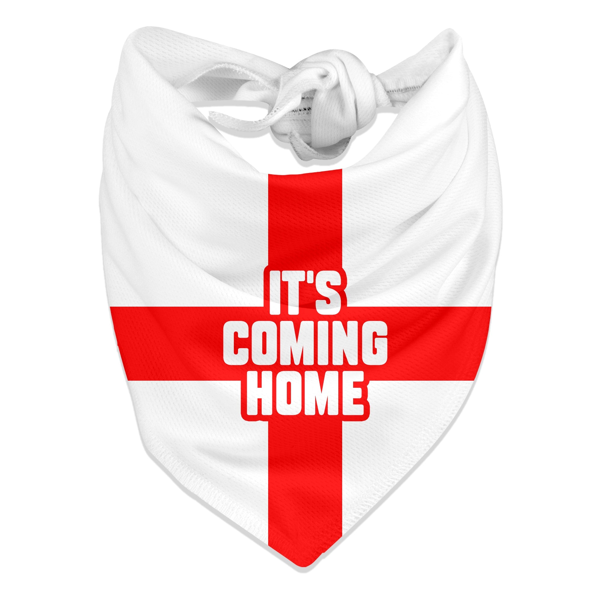 It's Coming Home Flag Dog Bandana