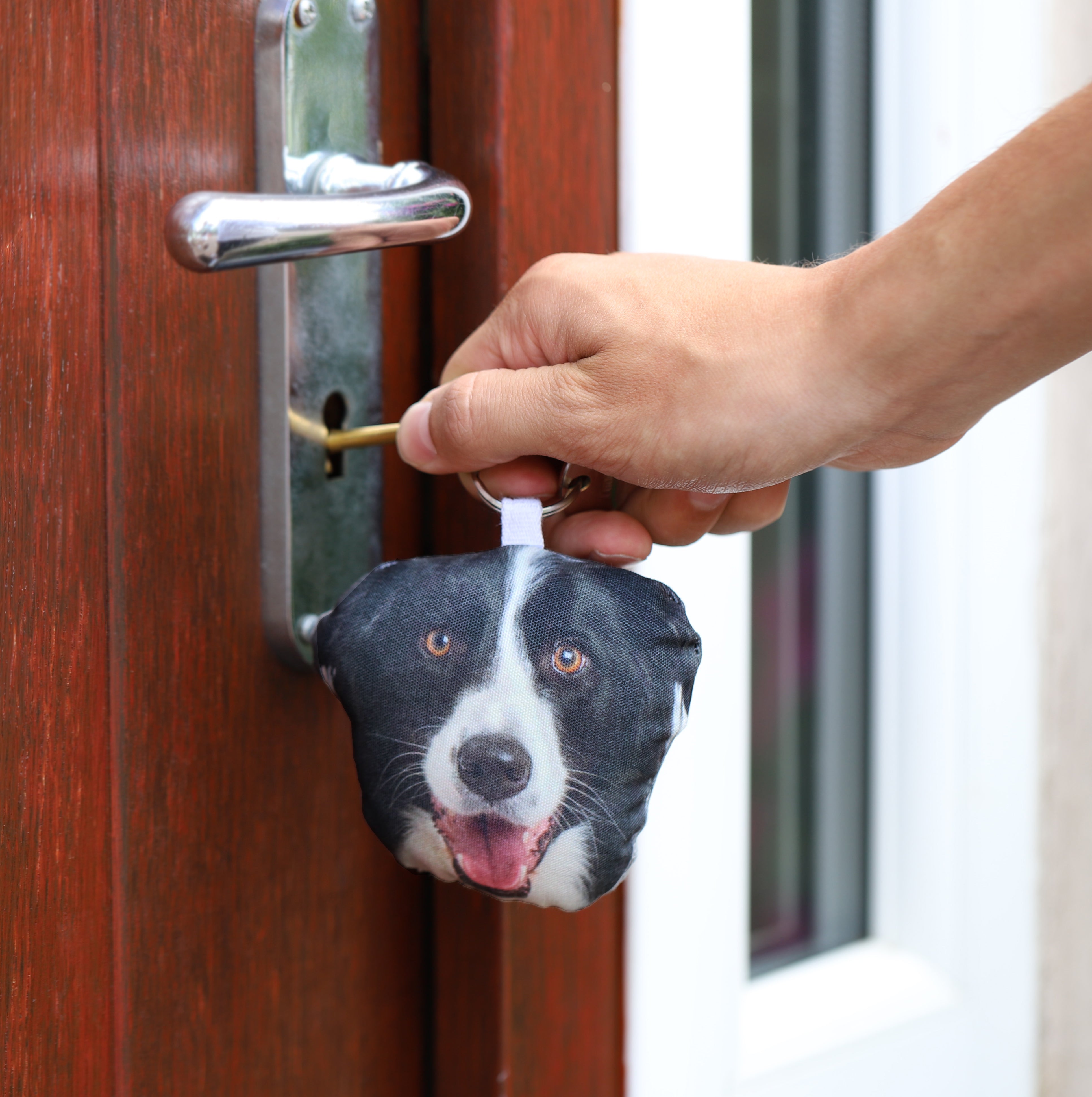 My Dogs Face On A Keyring