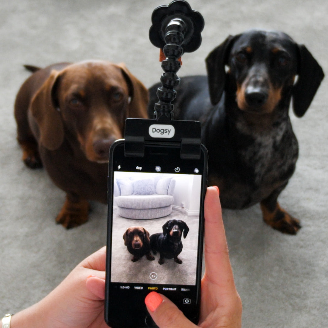 Dogsy Selfie Stick Tool