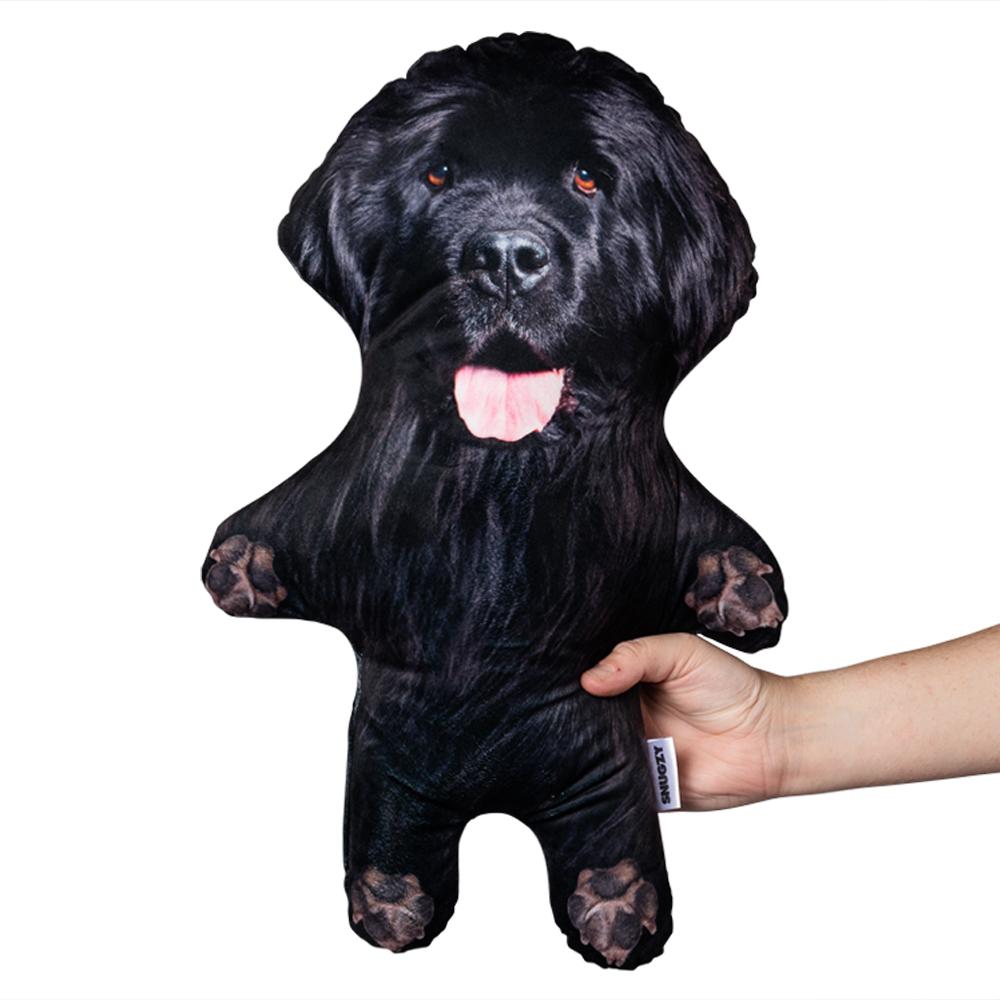Real Newfoundland Mini Me