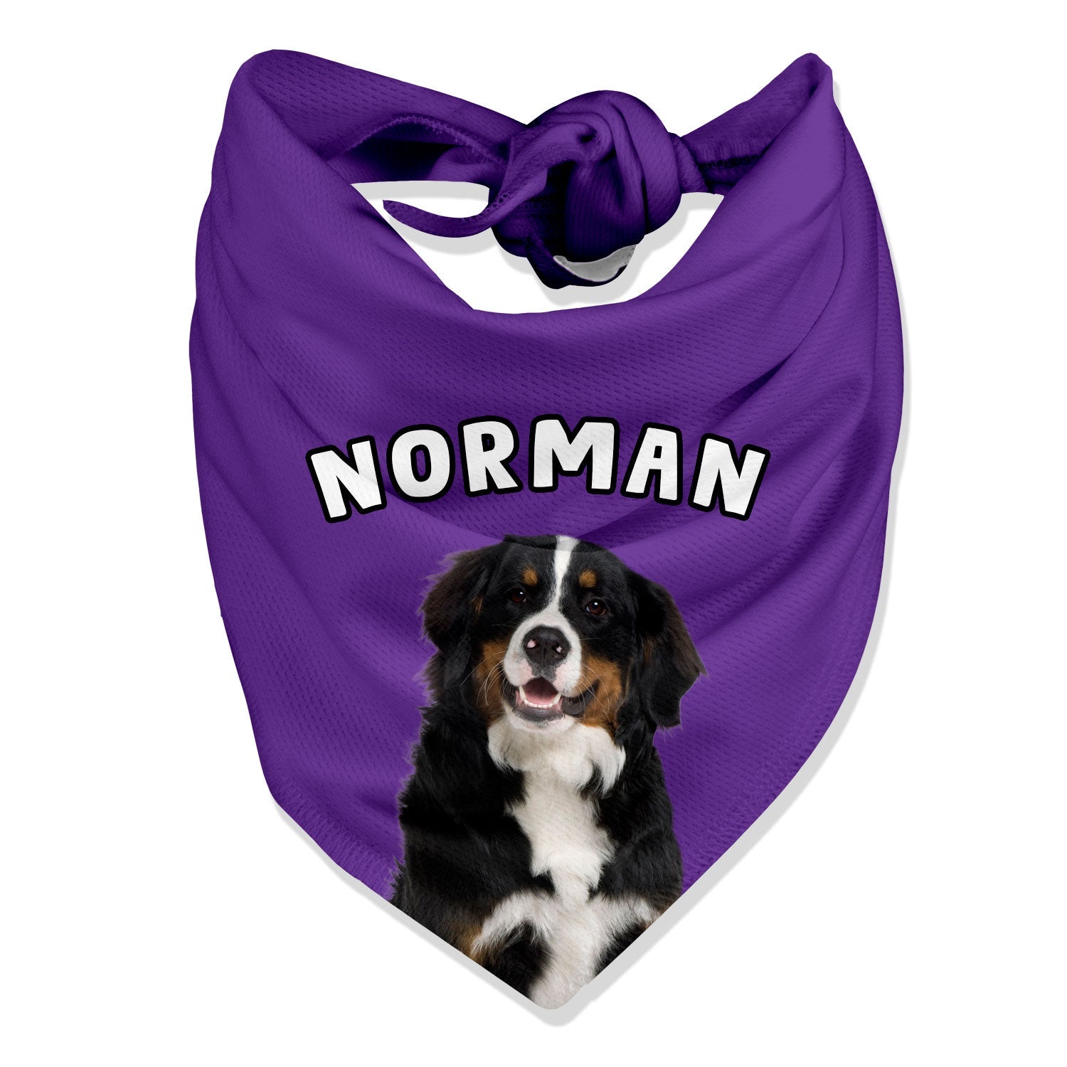 Dog Name Bandana