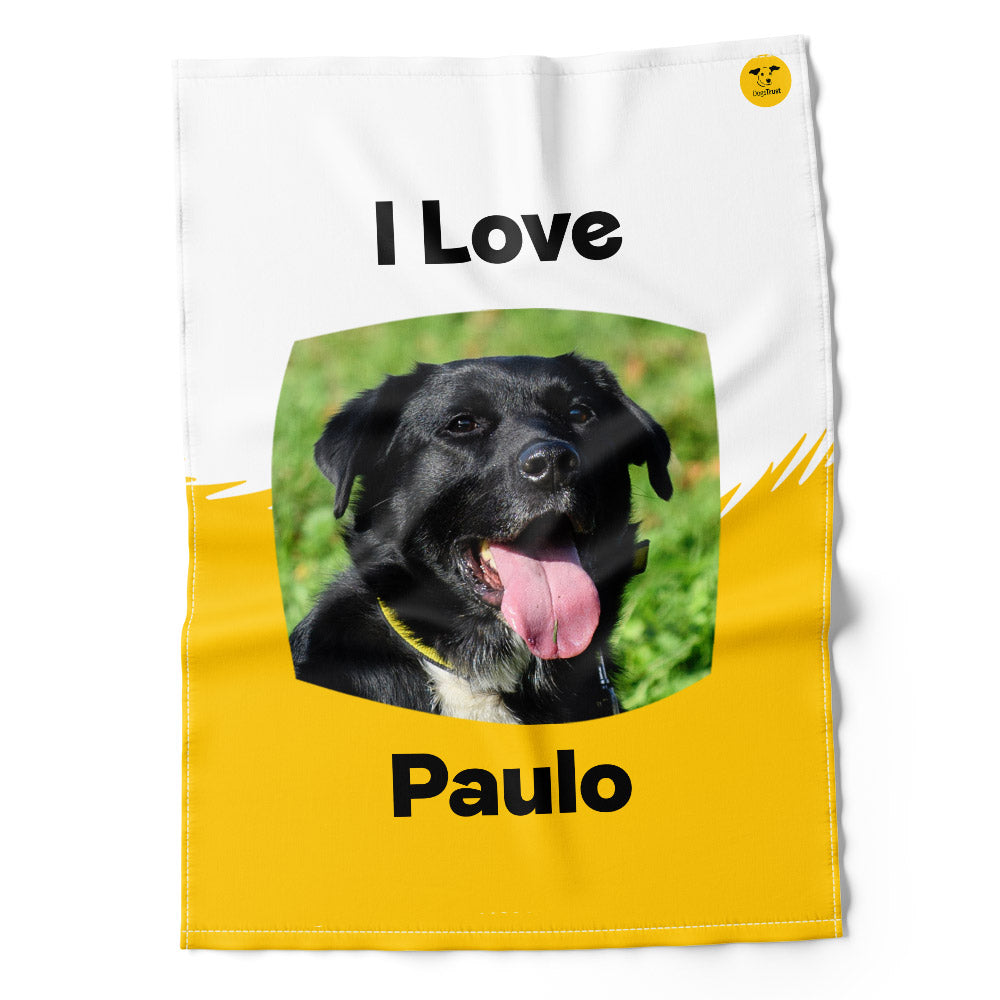 Paulo Sponsors Tea Towel