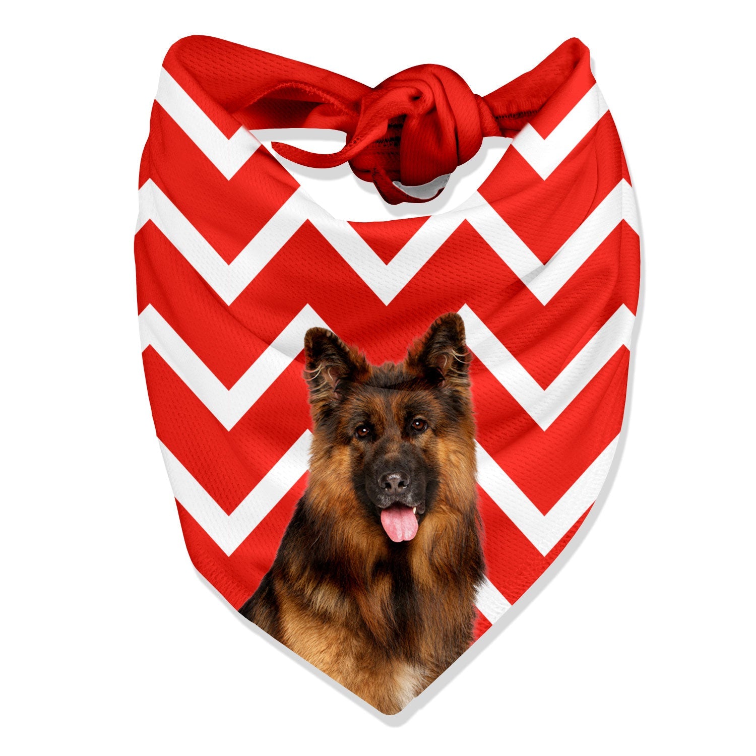 The Dogsy Zigzag Bandana