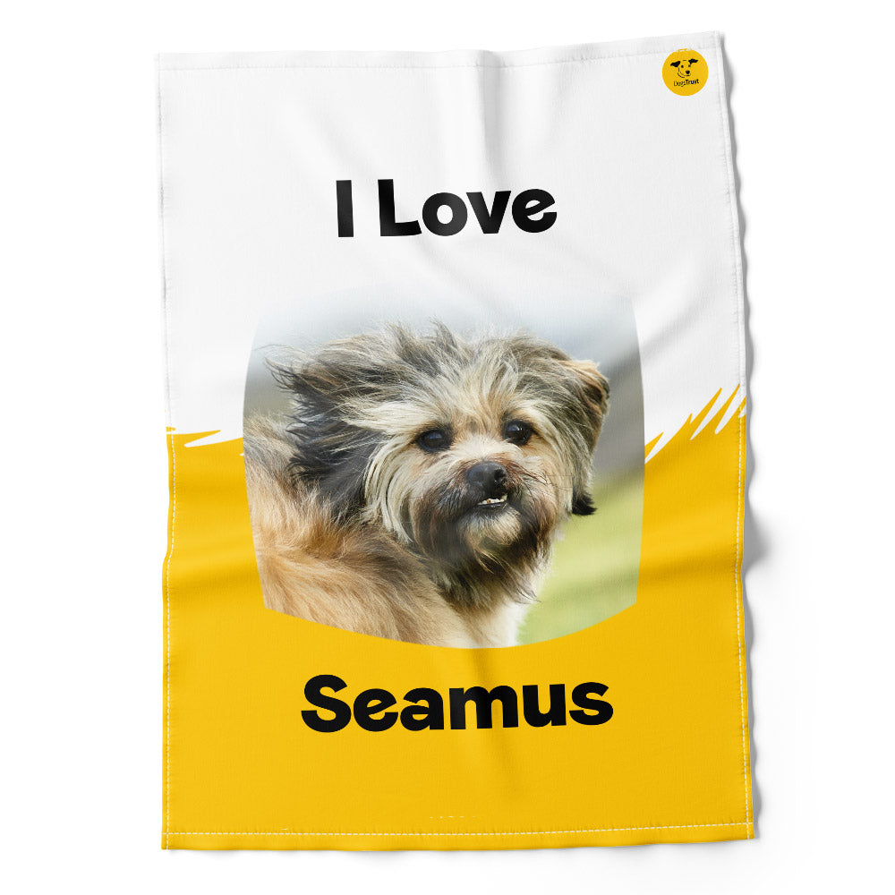 Seamus Sponsors Tea Towel