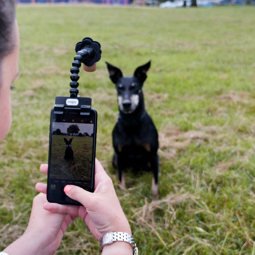 Dog Photo Selfie Stick