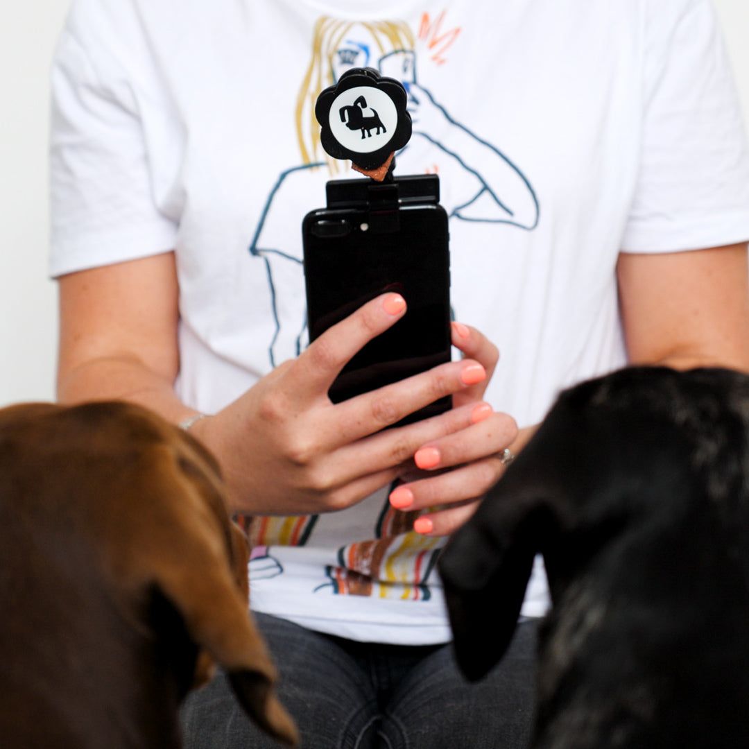 Dog Photo Stick