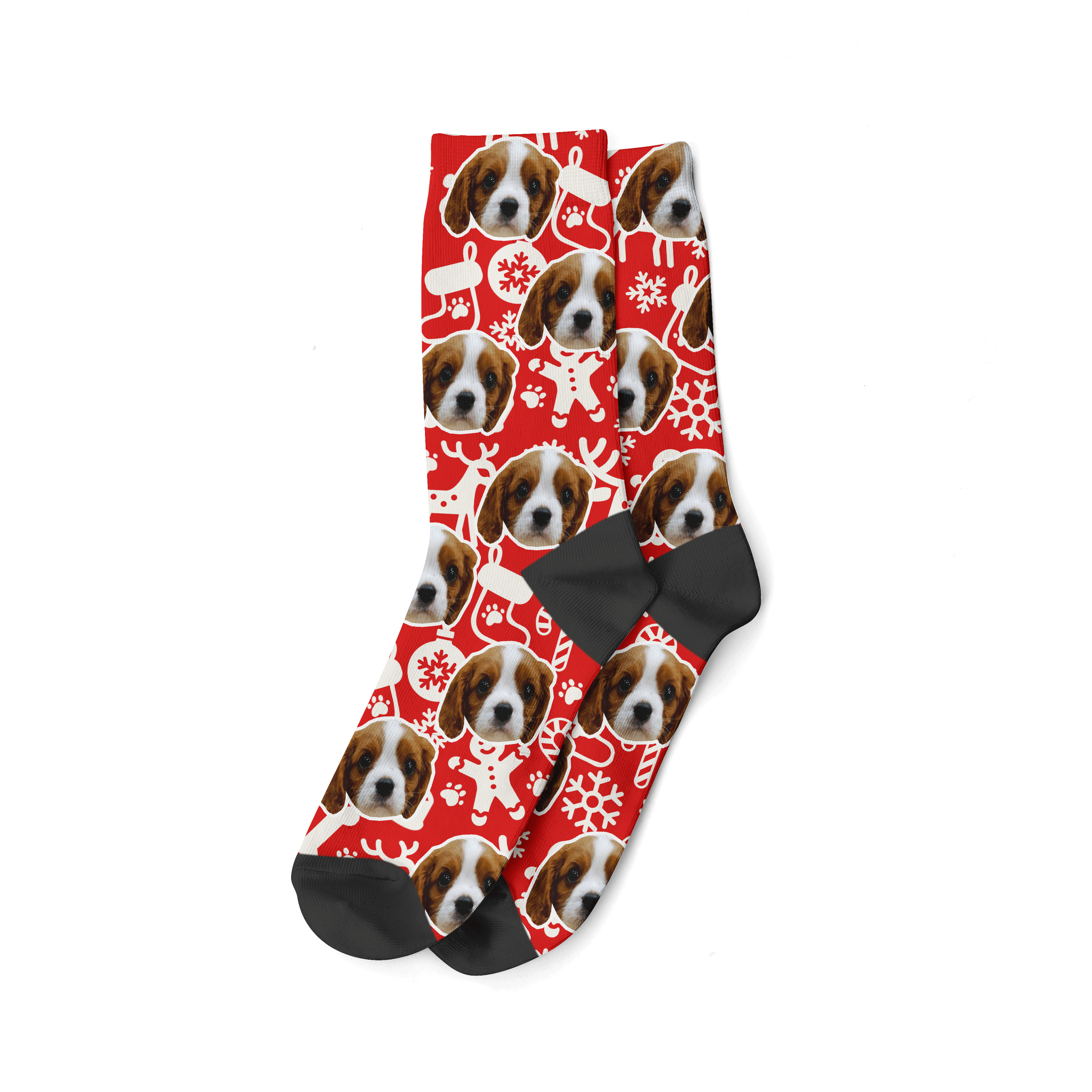 Christmas Pattern Dog Photo Socks