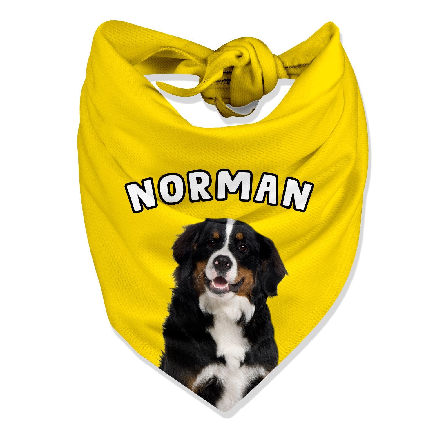Dog Name Bandana