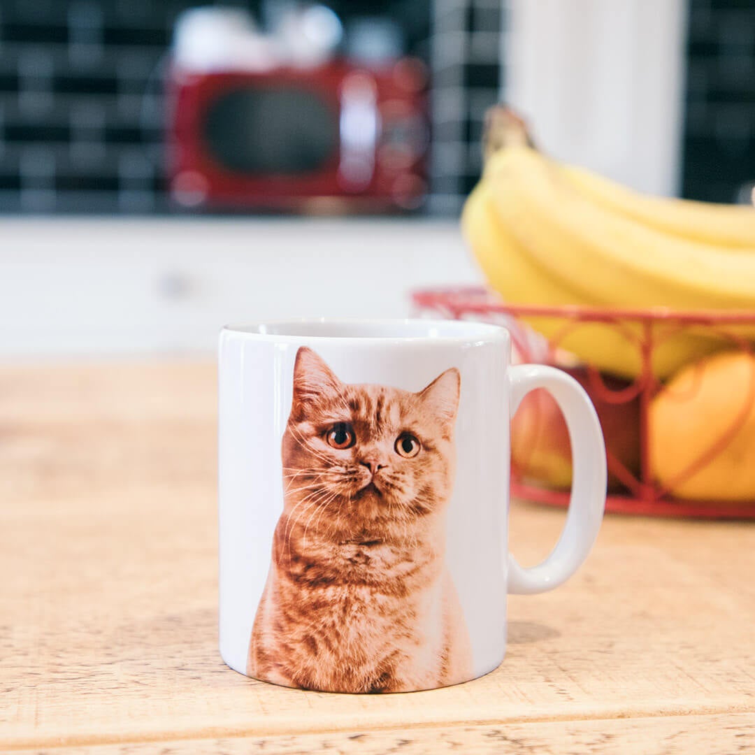 Dogsy Face Mug