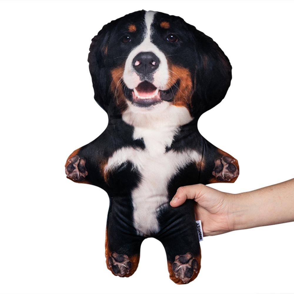 bernese-dog-mini-me