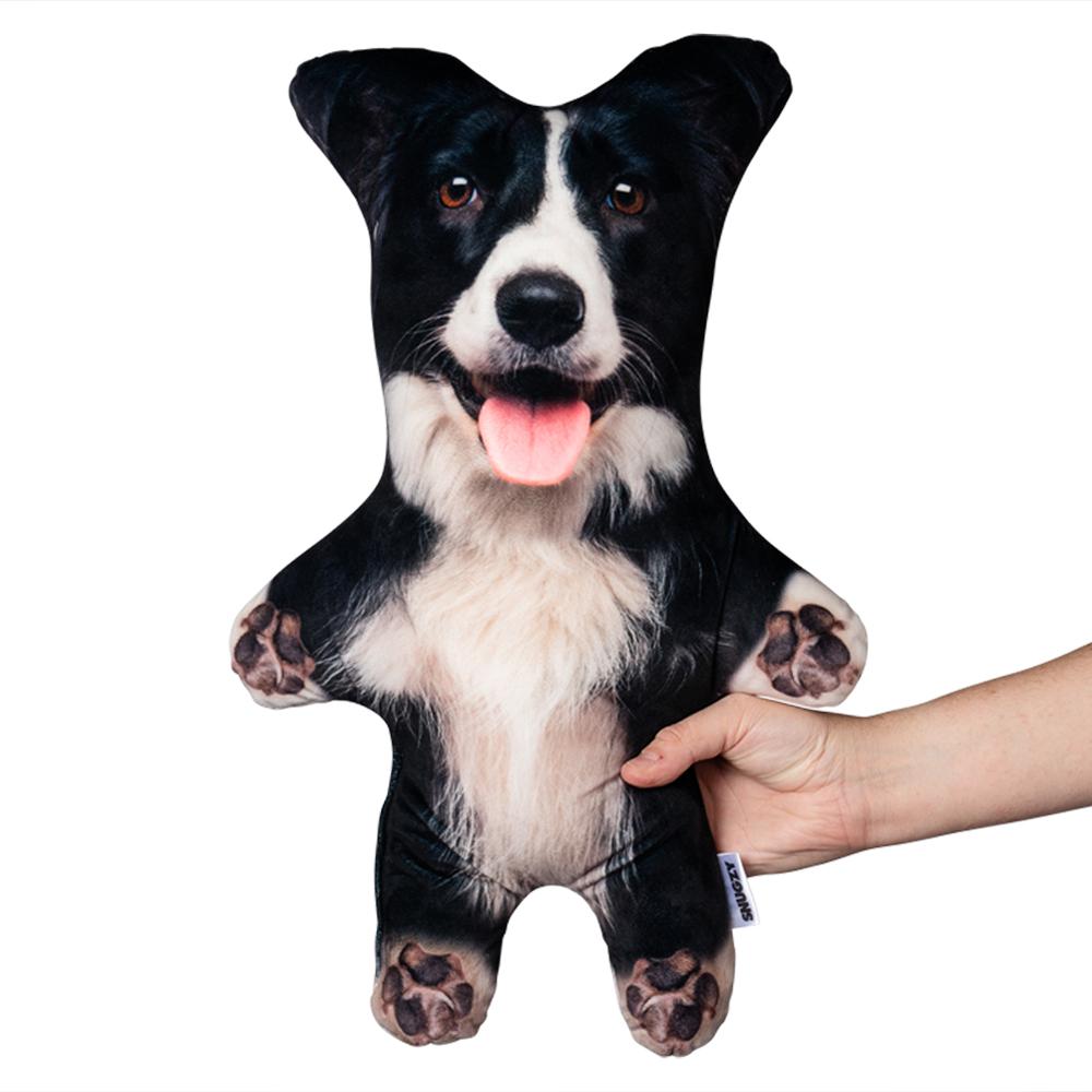 border-collie-mini-me