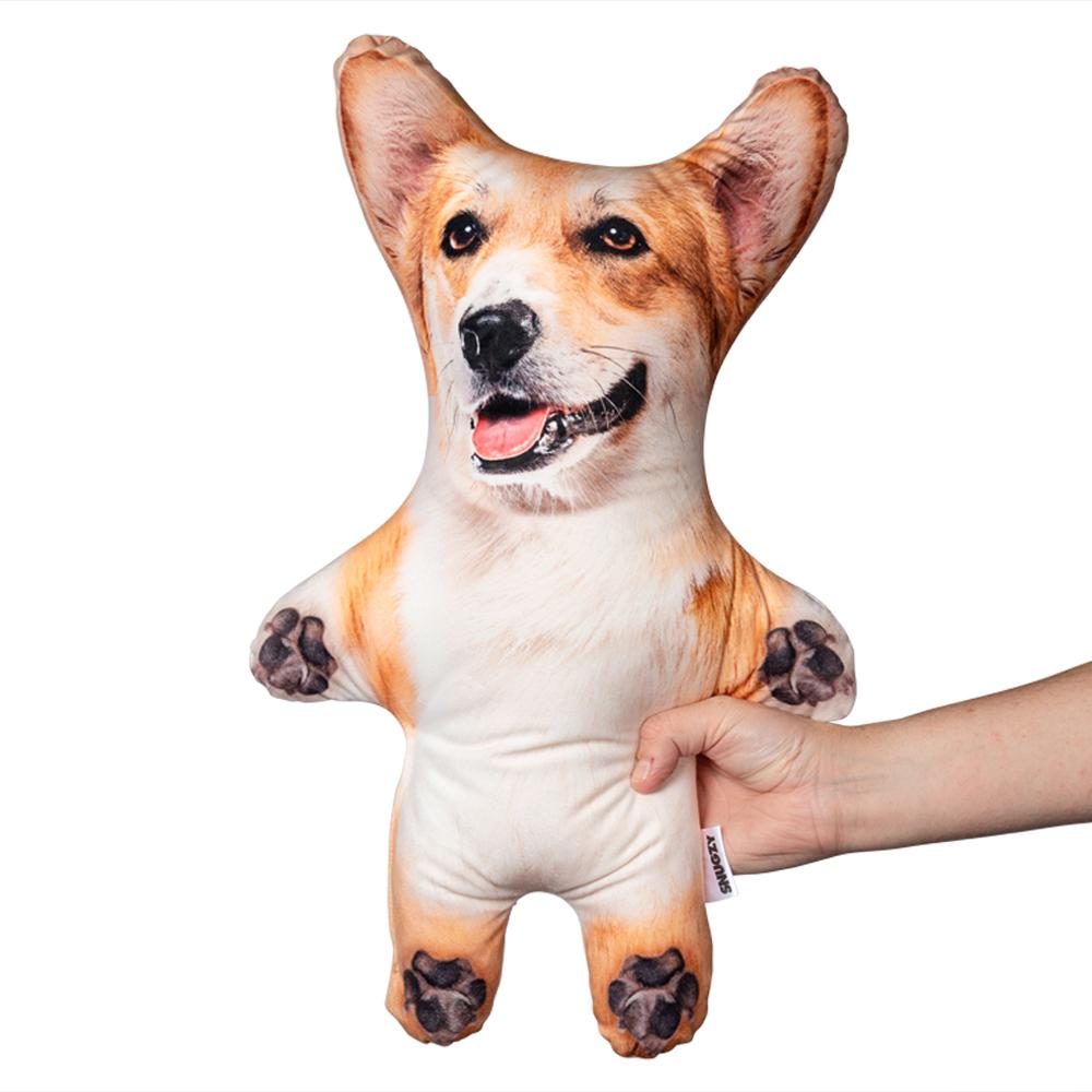 corgi-mini-me-dog