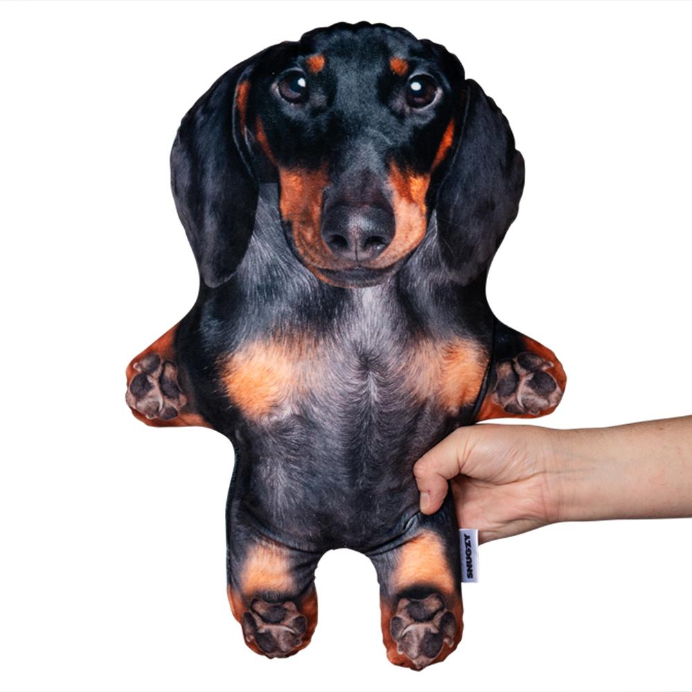 dachshund-dog-mini-me