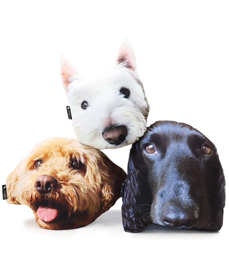 Dogsy Face Cushion