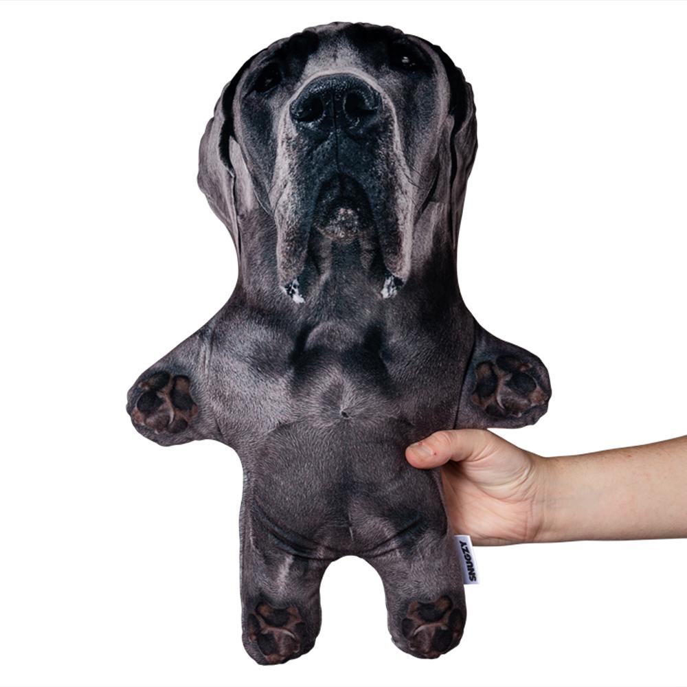 Real Great Dane Mini Me
