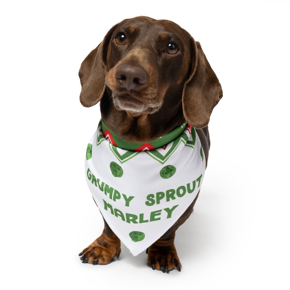 Grumpy Sprout Bandana