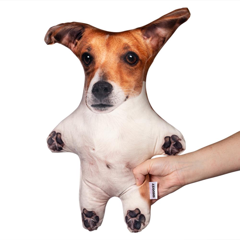 Real Jack Russell Mini Me