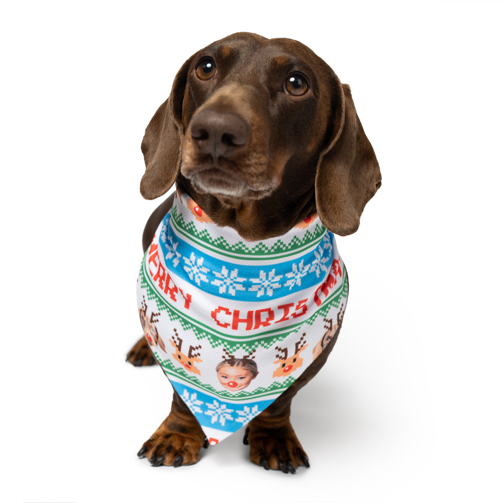 Dog & Owner Merry Christmas Bandana