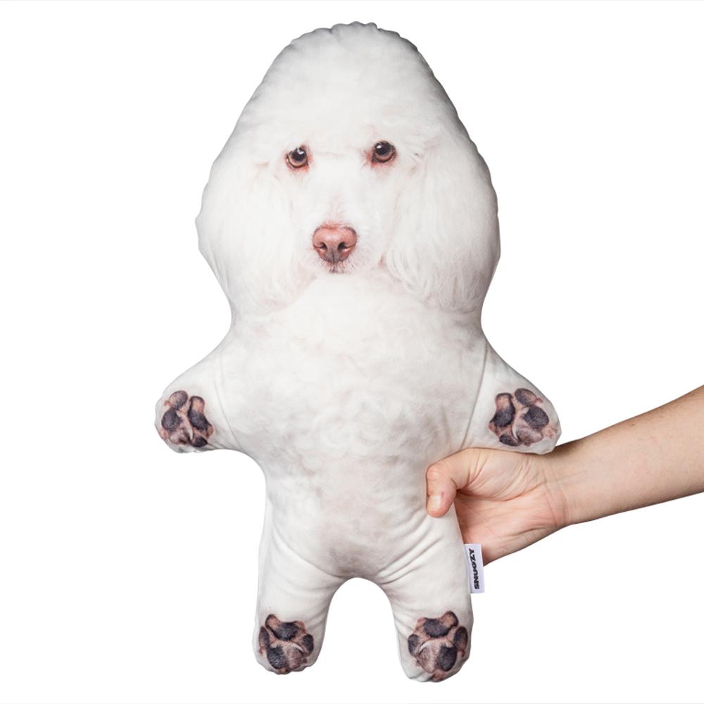 poodle-mini-me-dog
