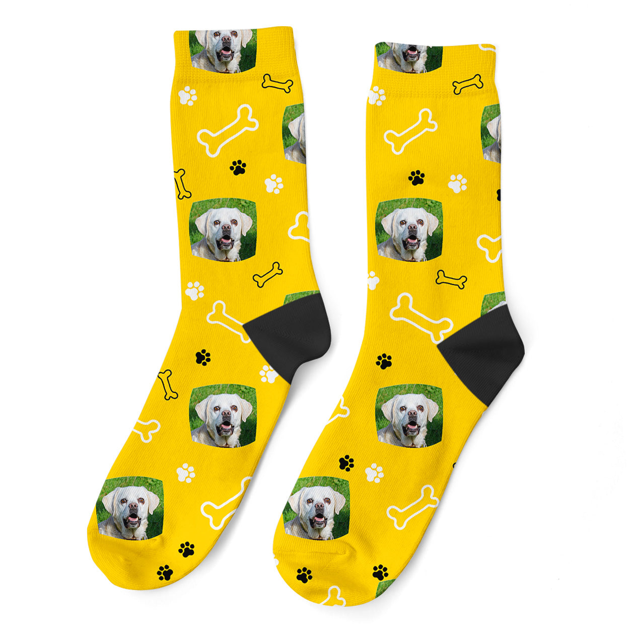 Rolo Supporter Socks