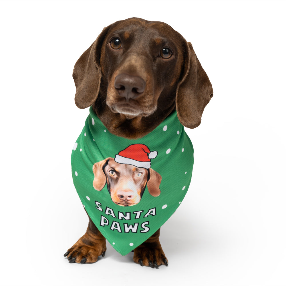 Santa Paws Bandana