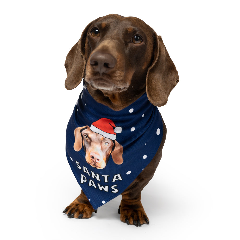 Santa Paws Bandana